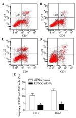 IL-22 Antibody in Flow Cytometry (Flow)