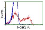 MOBKL1A Antibody in Flow Cytometry (Flow)