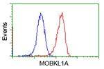 MOBKL1A Antibody in Flow Cytometry (Flow)