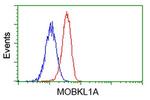 MOBKL1A Antibody in Flow Cytometry (Flow)