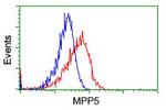 MPP5 Antibody in Flow Cytometry (Flow)