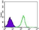 MRPL42 Antibody in Flow Cytometry (Flow)