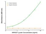 MRPS27 Antibody in ELISA (ELISA)