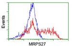 MRPS27 Antibody in Flow Cytometry (Flow)