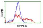 MRPS27 Antibody in Flow Cytometry (Flow)