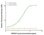 MRPS27 Antibody in Luminex (LUM)