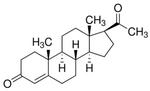 Progesterone Antibody