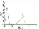 Human Nucleolar Antigen (Marker For Human Cells) Antibody in Flow Cytometry (Flow)