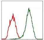 Moesin Antibody in Flow Cytometry (Flow)