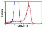 MTMR14 Antibody in Flow Cytometry (Flow)