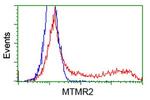 MTMR2 Antibody in Flow Cytometry (Flow)