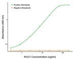 MUC1 Antibody in ELISA (ELISA)