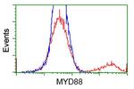 MYD88 Antibody in Flow Cytometry (Flow)