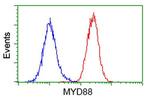 MYD88 Antibody in Flow Cytometry (Flow)