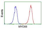 MYD88 Antibody in Flow Cytometry (Flow)