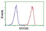 MYD88 Antibody in Flow Cytometry (Flow)