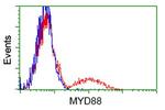 MYD88 Antibody in Flow Cytometry (Flow)