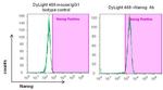 Mouse IgG1 Isotype Control in Flow Cytometry (Flow)