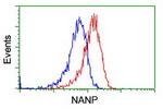 NANP Antibody in Flow Cytometry (Flow)