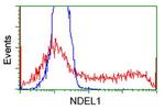 NDEL1 Antibody in Flow Cytometry (Flow)