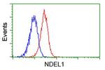 NDEL1 Antibody in Flow Cytometry (Flow)