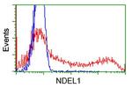 NDEL1 Antibody in Flow Cytometry (Flow)