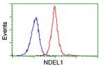 NDEL1 Antibody in Flow Cytometry (Flow)
