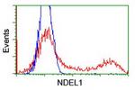 NDEL1 Antibody in Flow Cytometry (Flow)