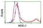 NDEL1 Antibody in Flow Cytometry (Flow)