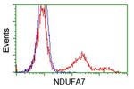 NDUFA7 Antibody in Flow Cytometry (Flow)