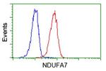 NDUFA7 Antibody in Flow Cytometry (Flow)