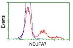 NDUFA7 Antibody in Flow Cytometry (Flow)