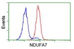 NDUFA7 Antibody in Flow Cytometry (Flow)