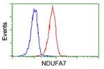 NDUFA7 Antibody in Flow Cytometry (Flow)