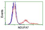 NDUFA7 Antibody in Flow Cytometry (Flow)