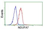 NDUFA7 Antibody in Flow Cytometry (Flow)