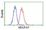 NDUFA7 Antibody in Flow Cytometry (Flow)