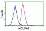 NDUFA7 Antibody in Flow Cytometry (Flow)