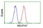 NDUFA7 Antibody in Flow Cytometry (Flow)