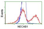 NECAB1 Antibody in Flow Cytometry (Flow)