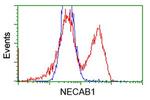 NECAB1 Antibody in Flow Cytometry (Flow)