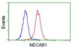 NECAB1 Antibody in Flow Cytometry (Flow)