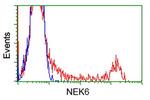 NEK6 Antibody in Flow Cytometry (Flow)