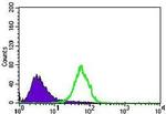 Nestin Antibody in Flow Cytometry (Flow)