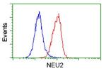 NEU2 Antibody in Flow Cytometry (Flow)