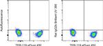 Rat IgG2b kappa Isotype Control in Flow Cytometry (Flow)