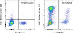 Ki-67 Antibody in Flow Cytometry (Flow)