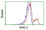 NHEJ1 Antibody in Flow Cytometry (Flow)