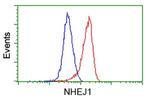 NHEJ1 Antibody in Flow Cytometry (Flow)