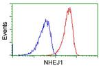 NHEJ1 Antibody in Flow Cytometry (Flow)